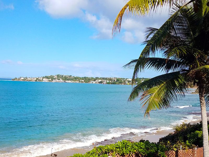 Coast of Vieques