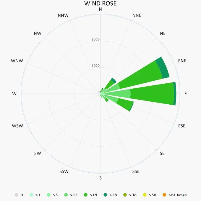 Wind rose in Vieques 