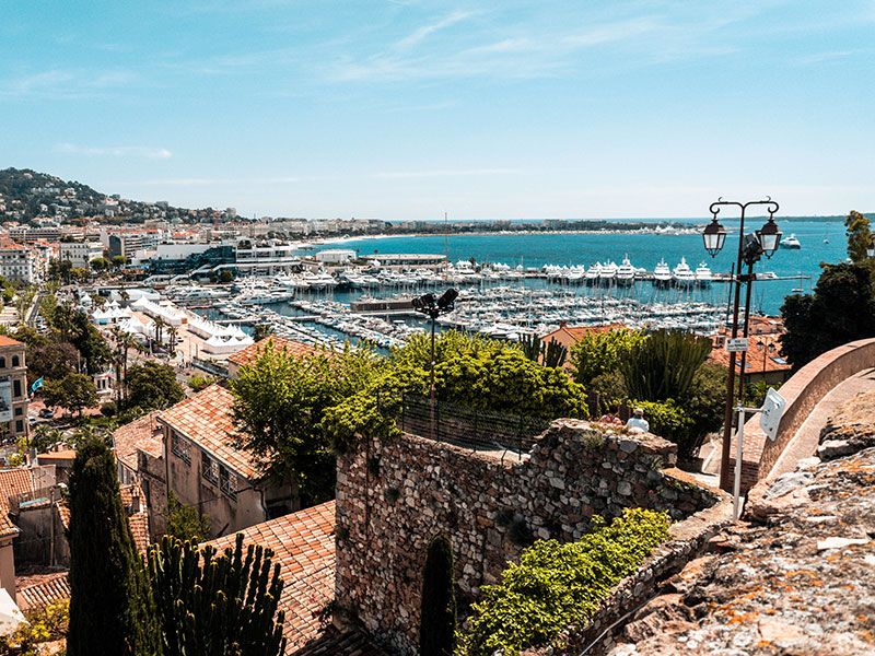 Port in Cannes